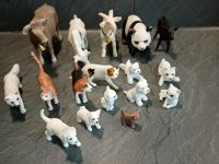 Schleich 19 Tiere und Figuren zu verkaufen Sachsen - Zwoenitz Vorschau