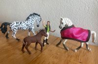 Schleich Horse Club 3 Pferde und Pflegerin Sachsen - Frankenberg (Sa.) Vorschau