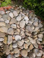 Steine zu verschenken Lingen (Ems) - Darme Vorschau