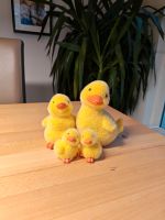 Enten Ostern Deko Baden-Württemberg - Asperg Vorschau