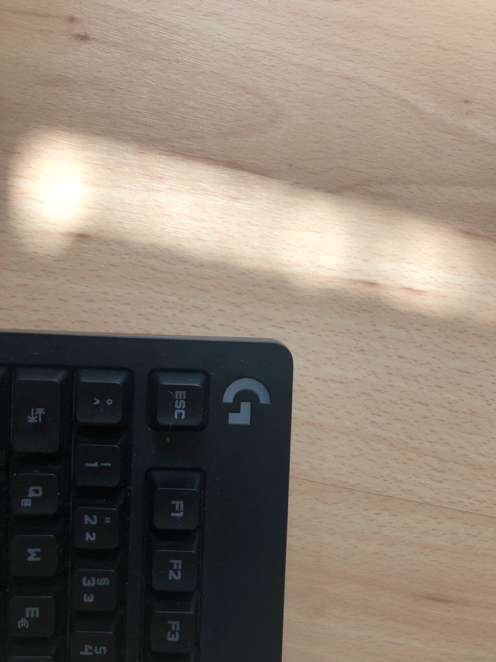 Logitech G213 Prodigy, RGB Beleuchtung,programmierbar! in Tirschenreuth