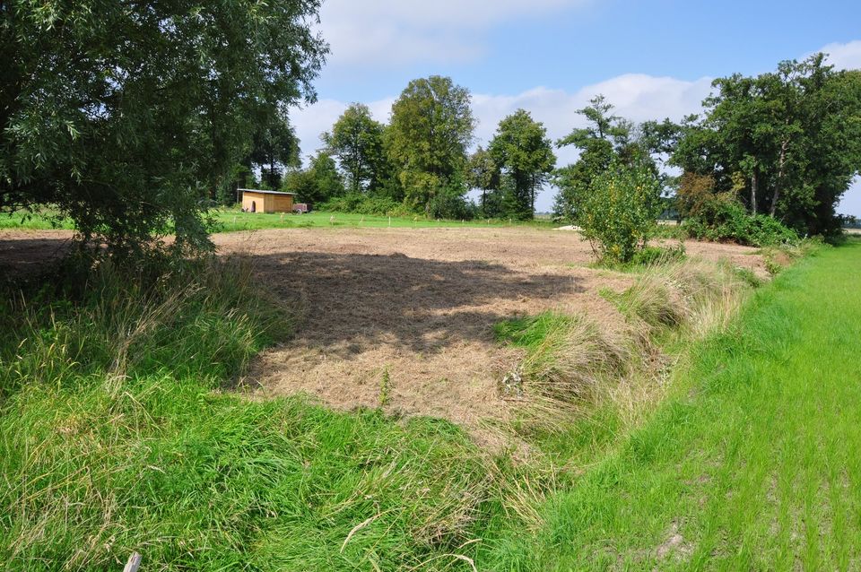 Großes Baugrundstück nähe Nordseebad Otterndorf in Neuhaus