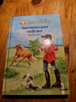 Sternschnuppe reißt aus Sachsen-Anhalt - Wanzleben Vorschau