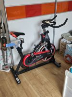 Rec Xtrene Cycle S100 Spinning Rad Baden-Württemberg - Ulm Vorschau