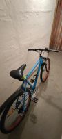 Fahrrad 26 Zoll Hessen - Bad Hersfeld Vorschau