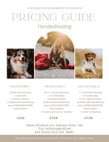 Hundeshooting/Fotoshooting/Vierbeiner Niedersachsen - Lengede Vorschau