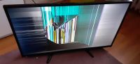 Fernseher Dyon enter 32 Pro v2 Display defekt Nordrhein-Westfalen - Königswinter Vorschau