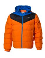 Lacoste Herren Daunenjacke HUF blau/orange Gr. 50 / L Schleswig-Holstein - Barsbüttel Vorschau