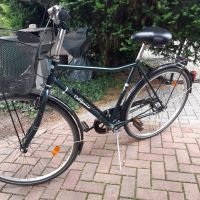 Fahrrad 28 zoll, Herren, 7 gang Nabenschaltung mit Rücktritt Leipzig - Holzhausen Vorschau