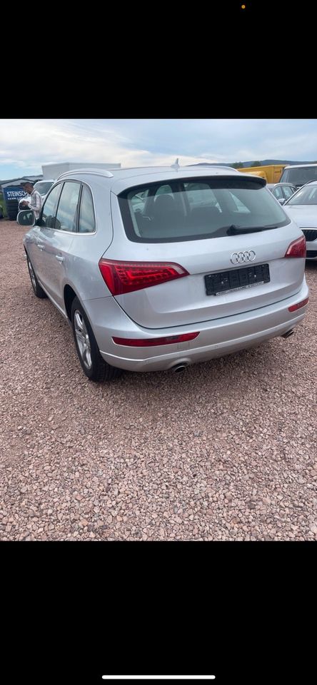 Audi Modell Q5 (8R) 3.0 in Usingen