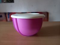 Tupperware Rühr Star Back Schüssel lila 1,5 L Sachsen - Weißenberg Vorschau