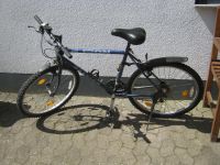 Trekkingbike Niedersachsen - Dassel Vorschau