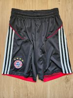 FC Bayern München Herren Sport Shorts Adidas, Größe S, neuwertig Nürnberg (Mittelfr) - Gebersdorf Vorschau