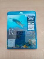 Faszination Korallenriff 3D Blu-ray Bayern - Eichstätt Vorschau