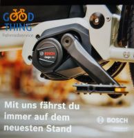 E-Bike Inspektion Shimano & Bosch Rheinland-Pfalz - Bruchhausen (Westerwald) Vorschau