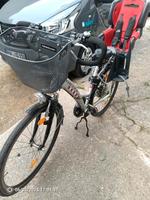 Damenfahrrad 28 Zoll Bayern - Wolnzach Vorschau