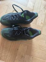 Basketball Schuhe Nike Jordan Größe 39 Hessen - Heppenheim (Bergstraße) Vorschau