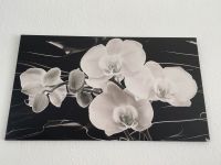 Wandbild Orchidee schwarz weiß Bayern - Regensburg Vorschau