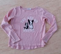 Pullover  h&m Hund Katze 146 152 Kiel - Meimersdorf-Moorsee Vorschau