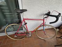 Rennrad (le coc sportif) Rheinland-Pfalz - Mainz Vorschau