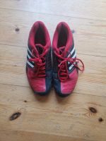 Handballschuhe Grösse 44 2/3 Brandenburg - Eberswalde Vorschau