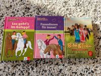 Bibi und Tina Buch / 3 Bücher - auch einzeln / Erstleser Niedersachsen - Hildesheim Vorschau