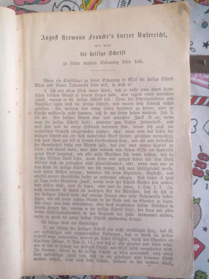 Alte Bibel, von 1885, Martin Luther, Rarität, Einzelstück!!!! in Zirchow