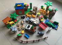 Lego DUPLO Zoo 4968 + Extras 102 Teile Hessen - Hünstetten Vorschau