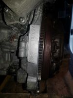 Motor Citroen Berlingo 1.6  BHW DV6FE Euro 5 inkl. Lieferung 59.5 Leipzig - Leipzig, Zentrum-Nord Vorschau