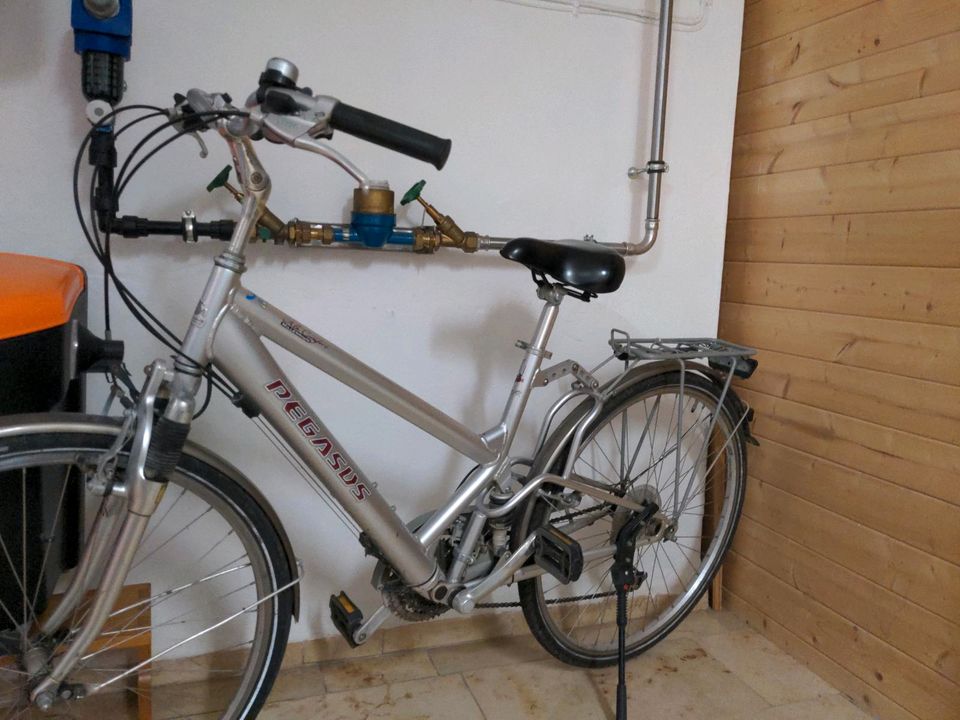 Pegasus Damenfahrrad Rad in Beilngries