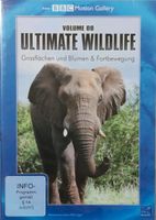 Ultimate Wildlife DVD Vol. 08 Bayern - Regensburg Vorschau
