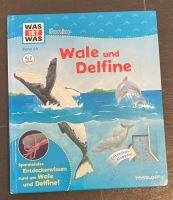 Kinderbuch Was ist Was? Wale und Delfine Baden-Württemberg - Mögglingen Vorschau