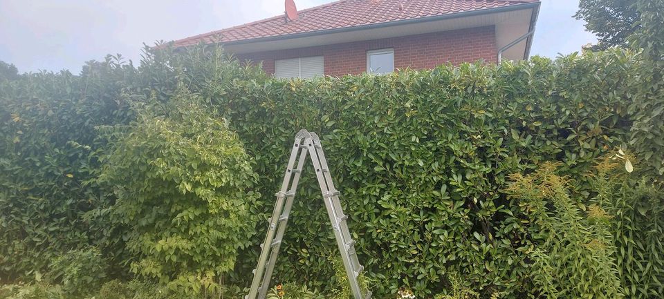 ❗️✅ ZAUN AUFSTELLEN • Gartenpflege in Steinfurt