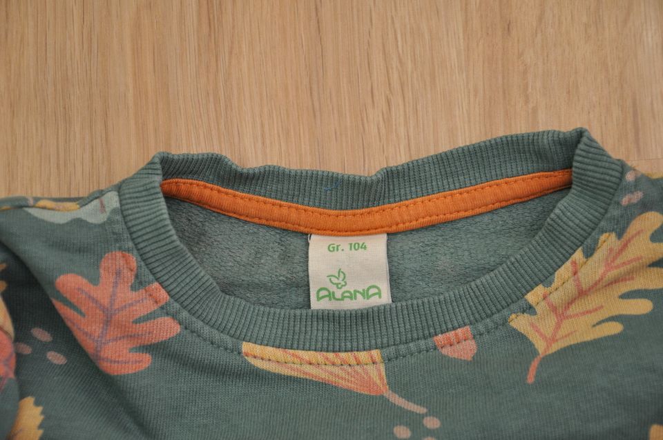 Alana Sweat Shirt Gr. 104 "Blätter" Herbst Pullover Bio Baumwolle in Dresden