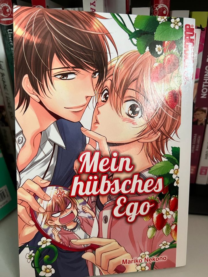 Boys Love Manga in Handewitt
