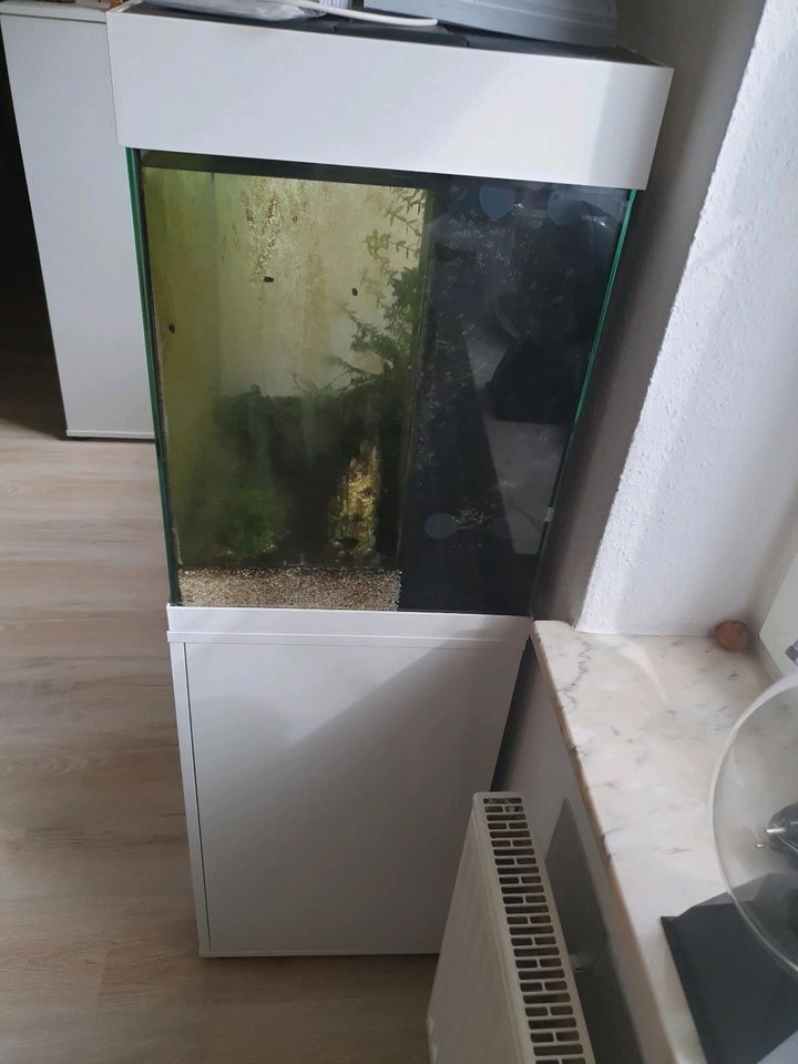 Aquarium Juwel in Geseke