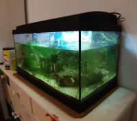 Aquarium 60x30x30 Bayern - Heroldsbach Vorschau