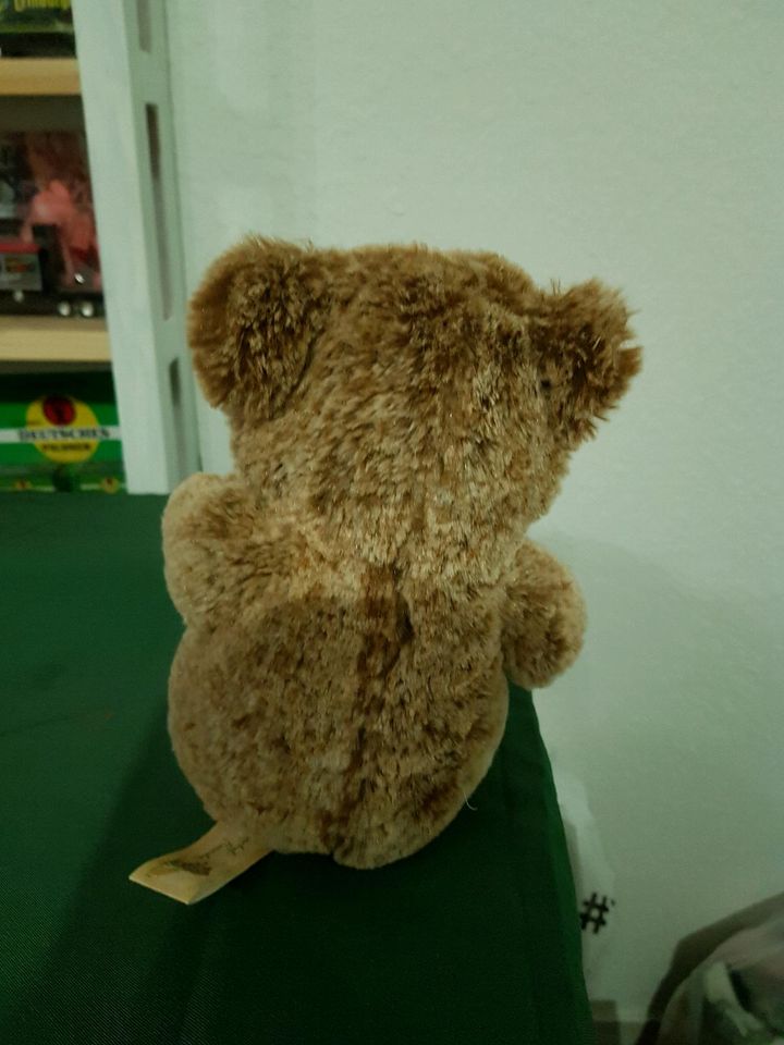 Teddybär plüschtier in Albstadt