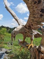 Treibholz Figuren Adler, Außen, Deko, Teak Holz Niedersachsen - Bad Pyrmont Vorschau