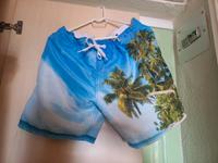 FSBN Beach Wear Herren Sommer Strandhose schnell trocknend Gr. L Bayern - Regensburg Vorschau