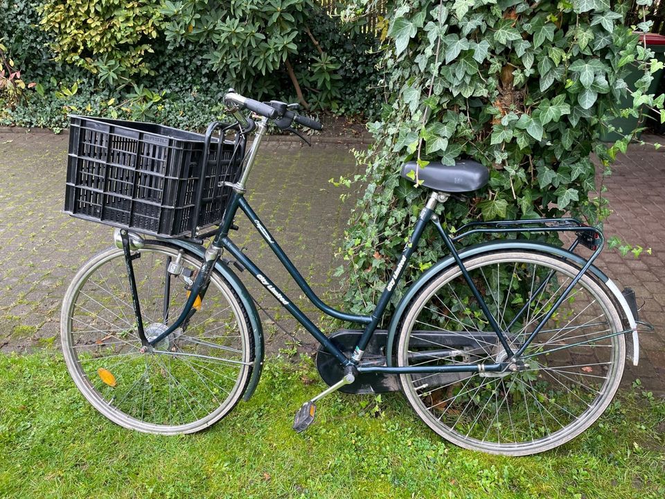 Damen Fahrrad City Limited in dunkelgrün mit Korb in Hamburg