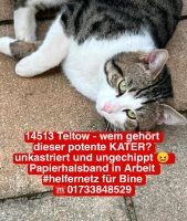 Besitzer gesucht! Brandenburg - Teltow Vorschau