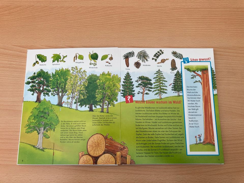 Was ist Was - Buch - Im Wald in Stemwede