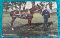 Schweiz seltene alte Karte von 1908 Armee Suisse Cavallerie Baden-Württemberg - Albstadt Vorschau