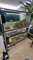 Aquarium Alusteck Regal 120x50 360L 230L Berlin - Spandau Vorschau