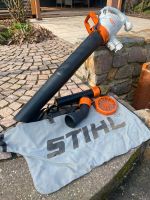 STIHL SHE 71 Laubsauger / -häcksler Sachsen - Döbeln Vorschau