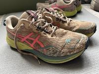 Asics Fuji Lite 4 Laufschuhe 42 Trail Paar 1 Nordrhein-Westfalen - Übach-Palenberg Vorschau