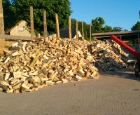 Brennholz Kaminholz Buche Nordrhein-Westfalen - Bad Driburg Vorschau