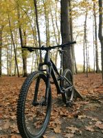 Orbea Occam H30 2021 gr. L | Fully Mountainbike MTB Fahrrad Nordrhein-Westfalen - Kamen Vorschau