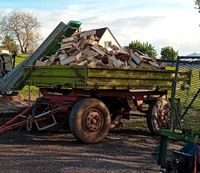 Feuerholz Kaminholz Holz Scheitholz Brennholz Käferholz Thüringen - Sonneberg Vorschau